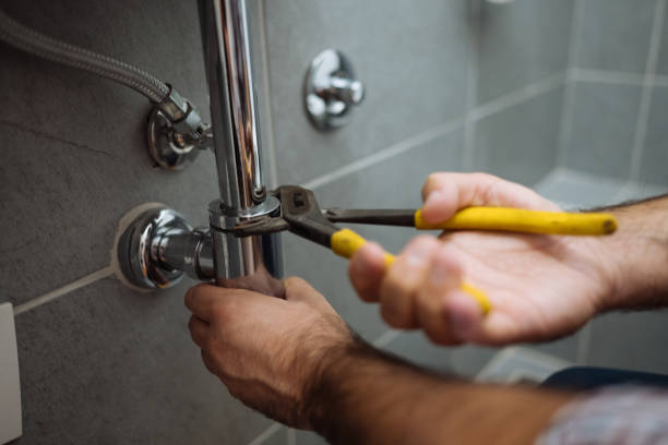 Best Commercial Plumbing Services  in Loogootee, IN