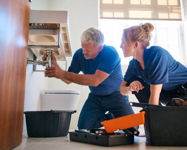 Best Clogged Drain Plumber  in Loogootee, IN